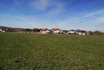 Teren de 934 mp, în Ghimbav Livadă - 1