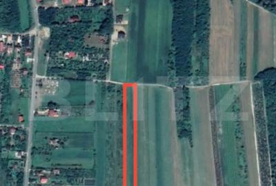 Teren de 8575 mp, în Viile Satu Mare - 1