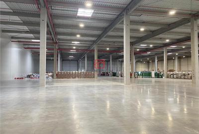 Spațiu comercial, de 10,000 mp, în Agigea