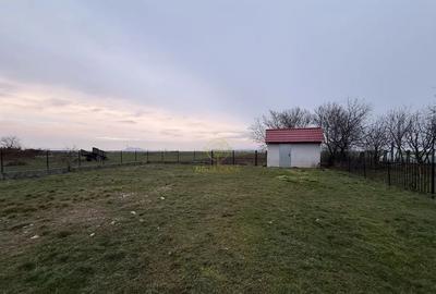 Casă cu 2 camere cu Teren 5800 Mp în Dumbrava - 3