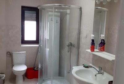 Apartament cu 2 camere decomandat în Dumbrăvița - 2