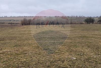 Teren agricol intravilan de 2592 mp, în Lipoveni - 18