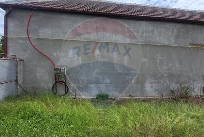 Teren Aradul Nou-2.311mp cu livada si utilitati, ideal pentru locuinte - 9