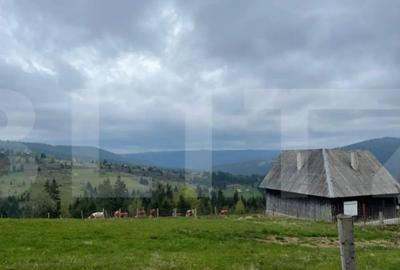 Casă cu 3 camere cu Teren 600 Mp în Central - 14