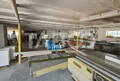 Platforma industriala cu cladiri de vanzare in Salistea de Alba - 5