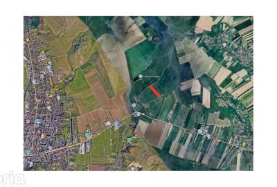 Teren de 4800 mp, în Ciritei - 5