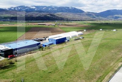 Oportunitate de Investitie sau Constructie Hala – Teren 3.900 mp | Talmaciu - 5