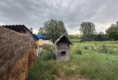 Casa de vanzare - GHINDAOANI - 1