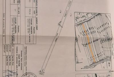 Teren de 13000 mp, în Sânmihaiu Român - 1