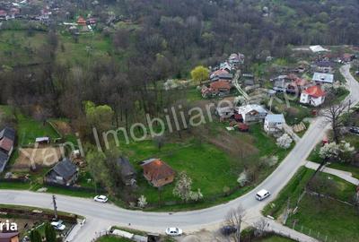 Casă cu 2 camere cu Teren 5800 Mp în Valea Danului - 10