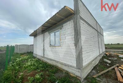 Casa in constructie, Carcea - 4