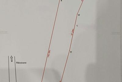 Teren de 5735 mp, în Ribița - 2