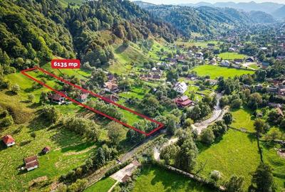Teren 6,135mp Moieciu de Jos / Strada Principala - 1