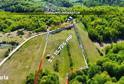 Teren de 7500 mp, în Copalnic - 1