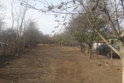 Casă cu 4 camere în Goicea - 5