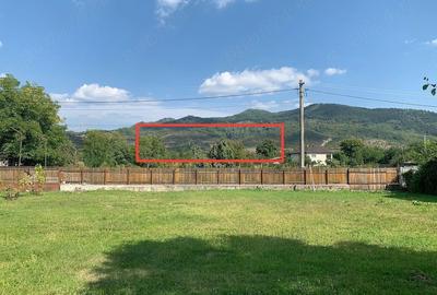 Teren de 360000 mp, în Sibiciu de Sus - 1