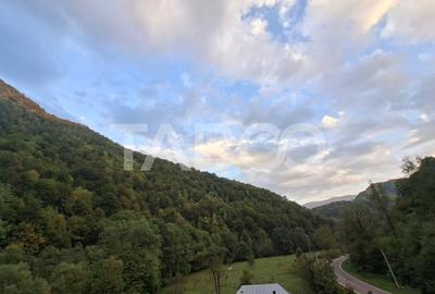 Spatiu de vanzare in Valea Macesului judel Valcea iesire la Lotru - 43