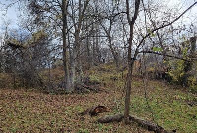 Teren Intravilan Breaza Prahova (zona Clubului de Golf) 1744mp - 1