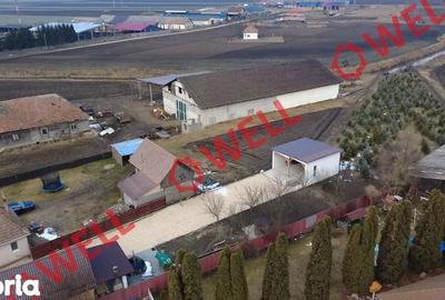 Casă cu 3 camere cu Teren 2567 Mp în Catalina - 11