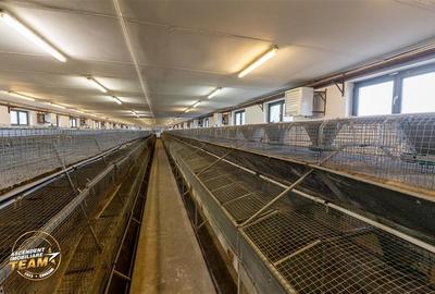 Spațiu comercial, de 794 mp, în Malnaș - 30