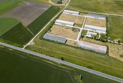 Teren Intravilan Investiții 11.600 mp Salonta - 7