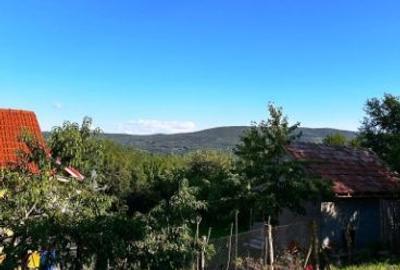 Casă cu 3 camere cu Teren 4000 Mp în Pârscov - 3