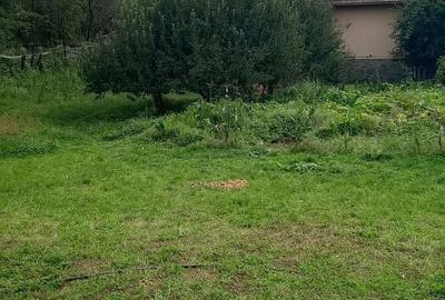 Casă cu 3 camere cu Teren 2588 Mp în Central - 5