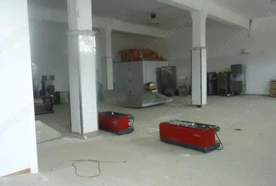 Hala depozitare / produc?ie, 10000 mp - 3