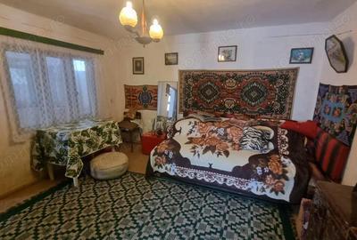 Casă cu 3 camere cu Teren 1900 Mp în Măgura - 10