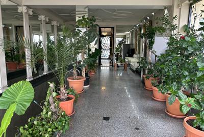 Reședință exclusivistă pe malul lacului - Exclusive Residence on the Lakefront - 20