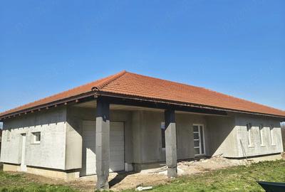 Casă cu Teren 25000 Mp în Traian - 4
