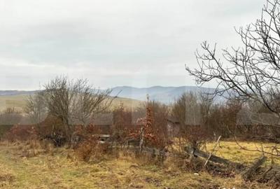 Teren de 2900 mp, în Central - 3