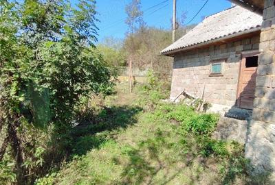 Casă în Săliște - 1