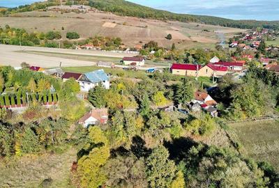 Teren Intravilan - 9