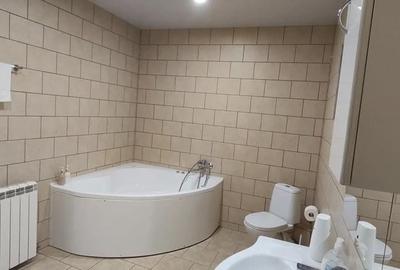 Casă cu 5 camere cu Teren 1340 Mp în Radu Negru - 2