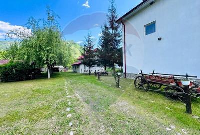 Pensiune + Vila pe malul raului Lotru-Malaia,Valcea - 5