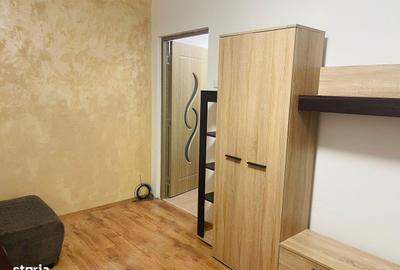 Garsonieră semidecomandată în Craiovița Nouă - 4