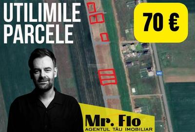 Teren Construcții intravilan de 605 mp, în Sânandrei