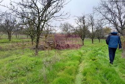 BARCANESTI -  casa +curte+teren 16k mp - 60