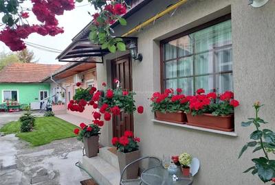 Refugiu urban cu personalitate Casa cu mansarda si crama amenajata - zona centrala - 1