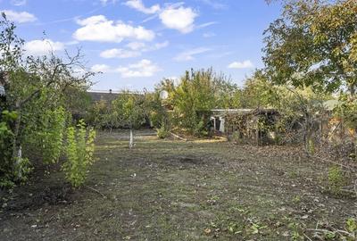 Comision 0% 2 case Vila + Spatiu Comercial + Curte Proprie - 37