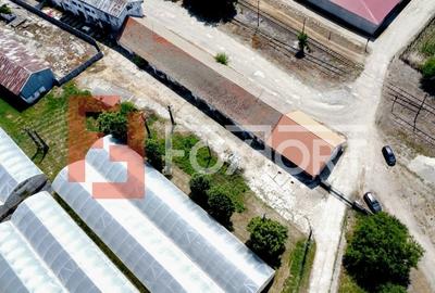 COMISION 0% Spatiu industrial de 695 mp si teren de 1821 mp - Giulvaz - 5