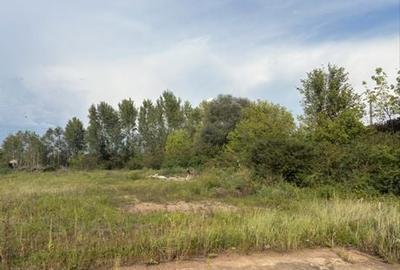 Teren de 5200 mp, în Peștișu Mare - 2