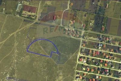 Teren de vanzare intravilan 13483 mp, Mangalia, Strada Titu Maiorescu - 2