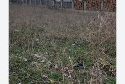 Casă cu 2 camere cu Teren 871 Mp în Aviatorilor - 8
