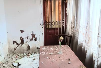 Brebu Megiesesc, casa + teren - 8