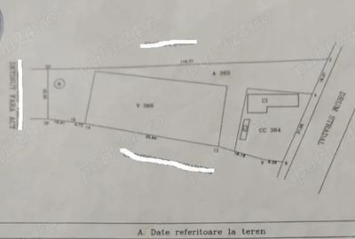 Casă cu Teren 3447 Mp în Satu Nou - 1