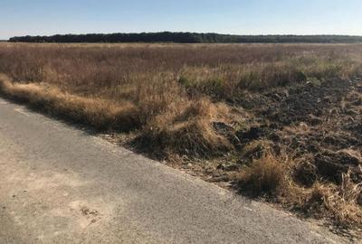 Teren de 7500 mp, în Buturugeni - 3