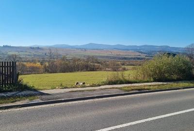 Teren de 3000 mp, în Central - 5