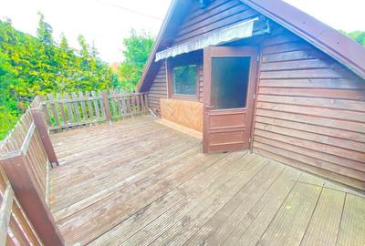 Casa de vacanta in Baiut - 2